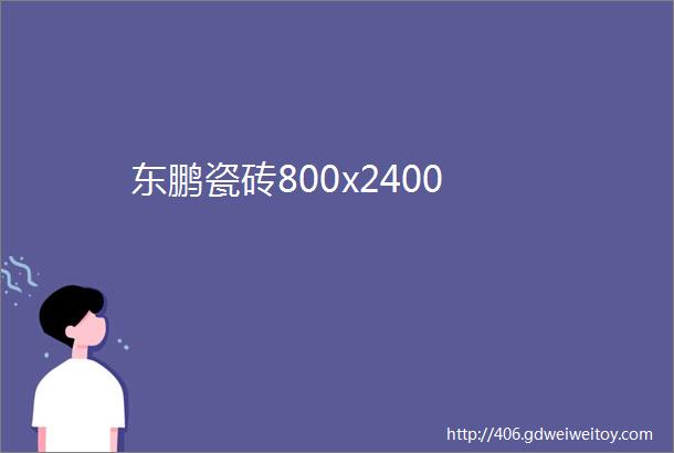 东鹏瓷砖800x2400