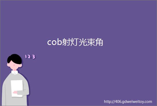 cob射灯光束角